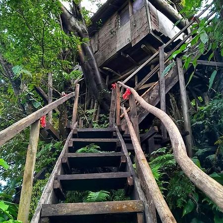 Castle Tree House And Bungalow White Sands Exterior foto